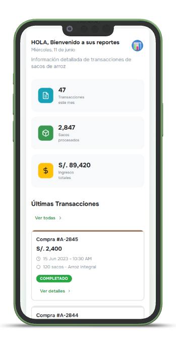 Reporte molino